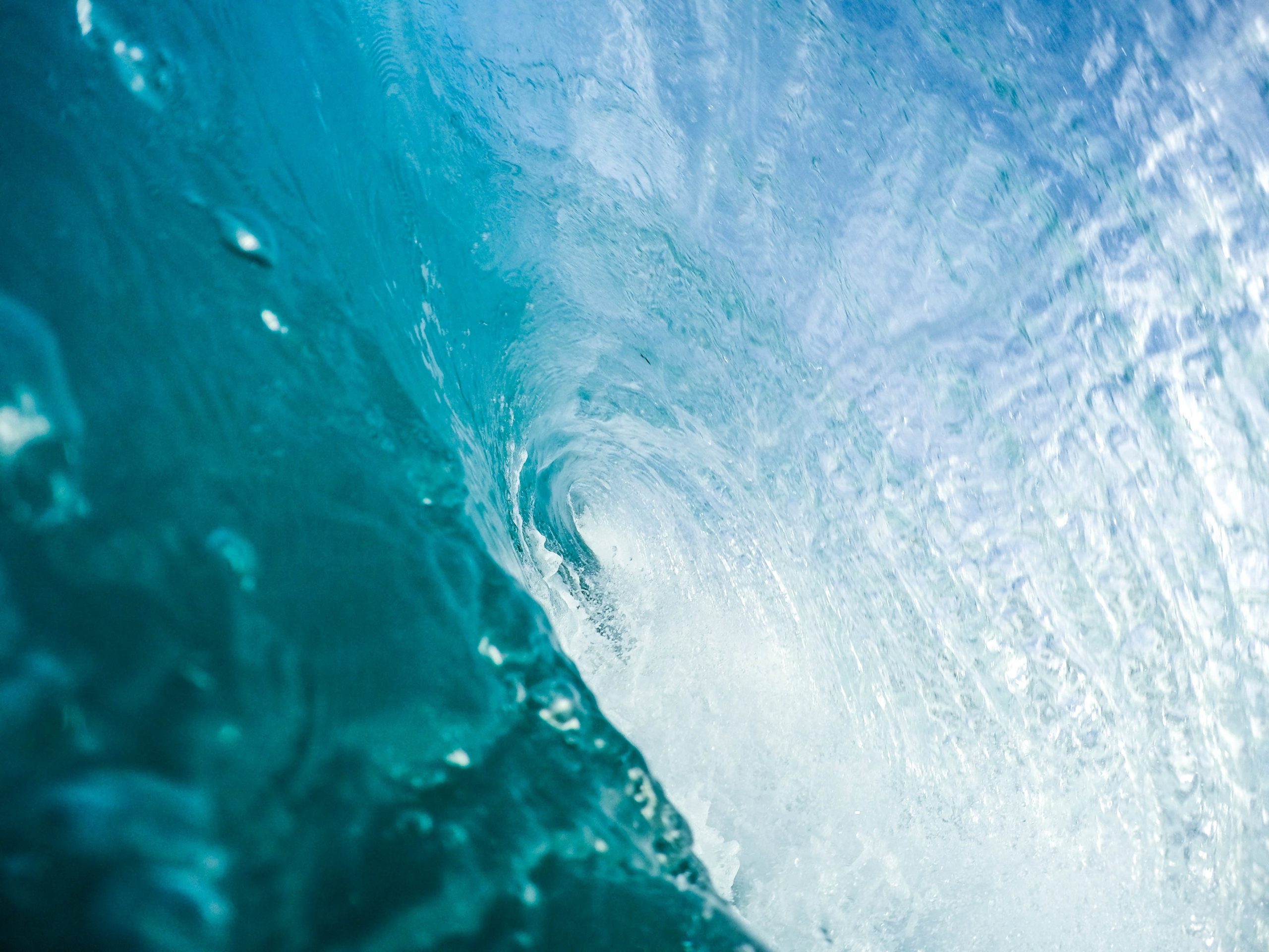 jbishop_wave-scaled.jpg